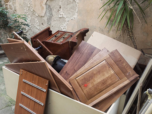Yard Cleanup Services in Beaumont, TX